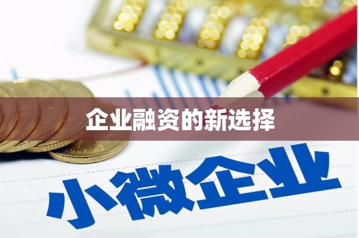 贞丰企业融资的新选择