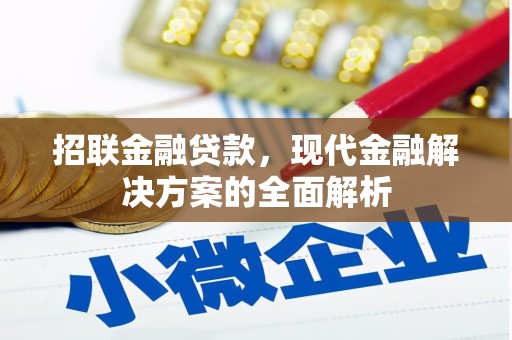 贞丰招联金融贷款，现代金融解决方案的全面解析