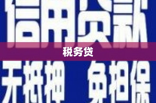 贞丰税务贷