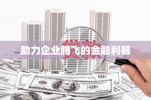 贞丰助力企业腾飞的金融利器