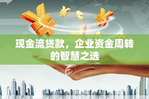 贞丰现金流贷款，企业资金周转的智慧之选