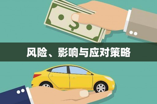 贞丰风险、影响与应对策略