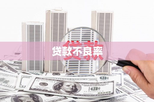 贞丰贷款不良率