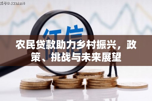 贞丰农民贷款助力乡村振兴，政策、挑战与未来展望