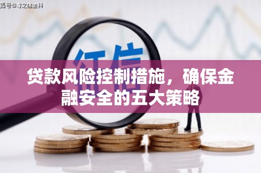 贞丰贷款风险控制措施，确保金融安全的五大策略