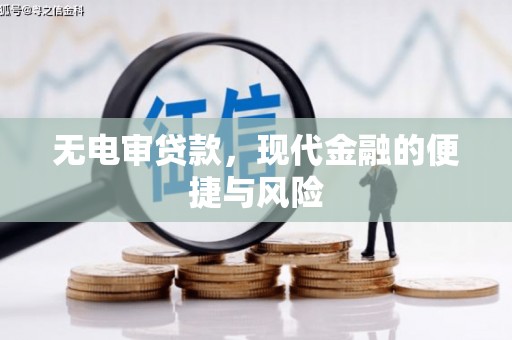 贞丰无电审贷款，现代金融的便捷与风险