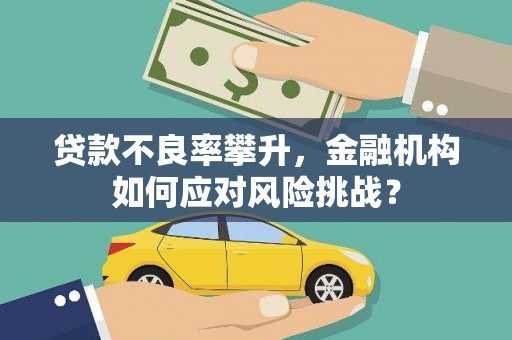 贞丰贷款不良率攀升，金融机构如何应对风险挑战？