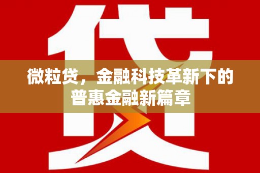 贞丰微粒贷，金融科技革新下的普惠金融新篇章