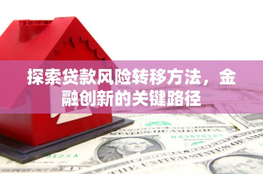 贞丰探索贷款风险转移方法，金融创新的关键路径
