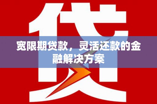 贞丰宽限期贷款，灵活还款的金融解决方案