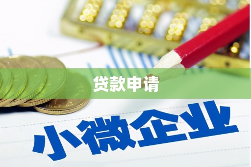 贞丰贷款申请
