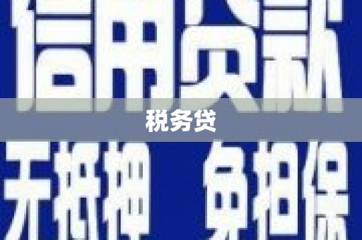 贞丰税务贷