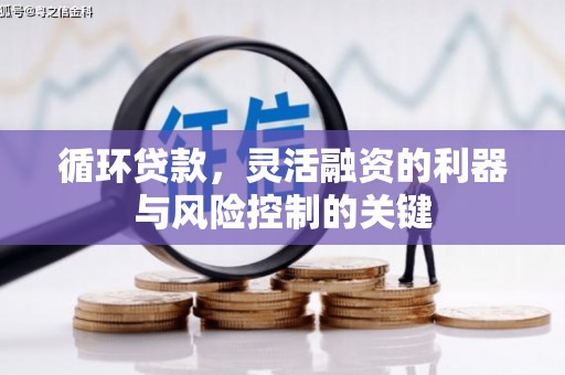 贞丰循环贷款，灵活融资的利器与风险控制的关键