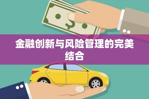 贞丰金融创新与风险管理的完美结合
