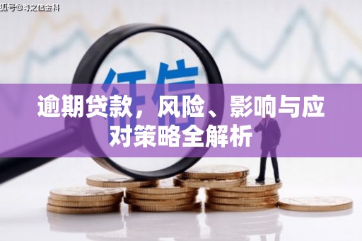 贞丰逾期贷款，风险、影响与应对策略全解析