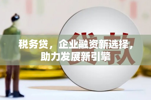 贞丰税务贷，企业融资新选择，助力发展新引擎
