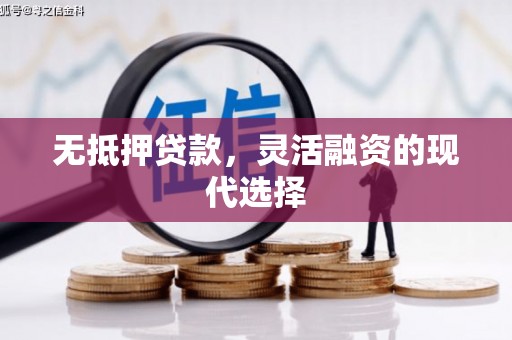 贞丰无抵押贷款，灵活融资的现代选择