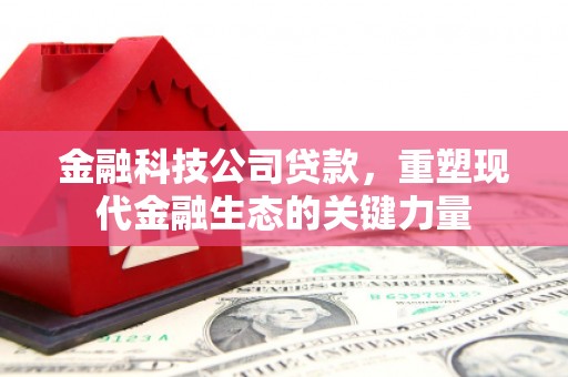 贞丰金融科技公司贷款，重塑现代金融生态的关键力量