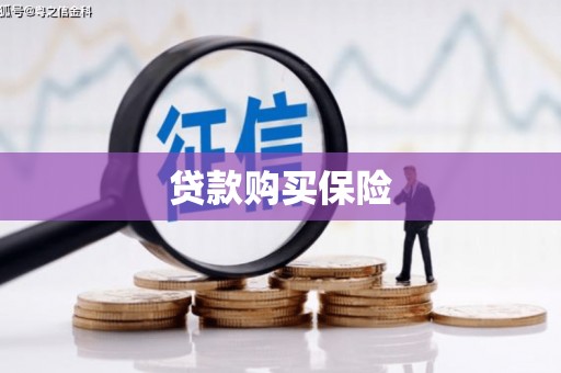 贞丰贷款购买保险