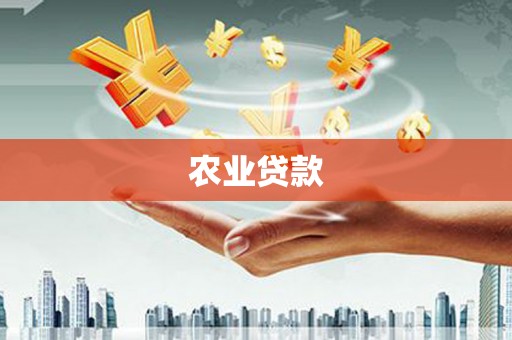 贞丰农业贷款