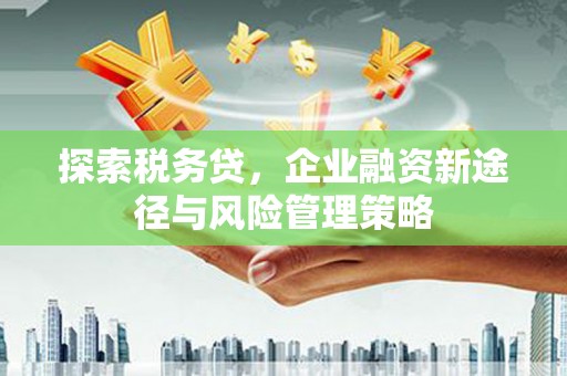 贞丰探索税务贷，企业融资新途径与风险管理策略