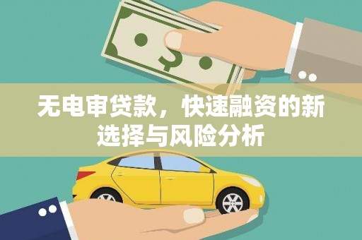 贞丰无电审贷款，快速融资的新选择与风险分析