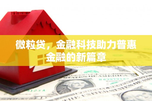 贞丰微粒贷，金融科技助力普惠金融的新篇章
