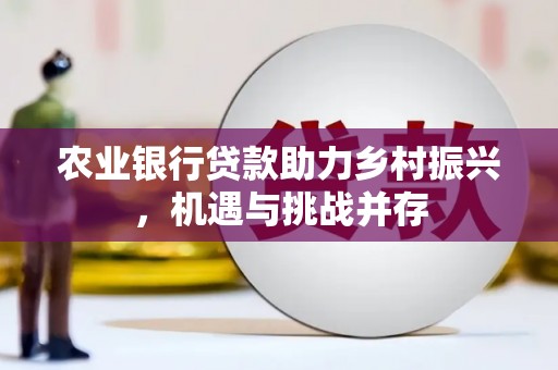 贞丰农业银行贷款助力乡村振兴，机遇与挑战并存