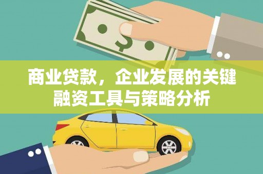 贞丰商业贷款，企业发展的关键融资工具与策略分析
