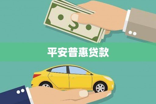 贞丰平安普惠贷款