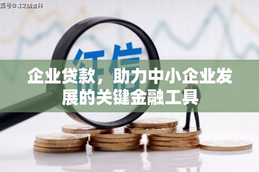 贞丰企业贷款，助力中小企业发展的关键金融工具