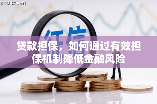 贞丰贷款担保，如何通过有效担保机制降低金融风险