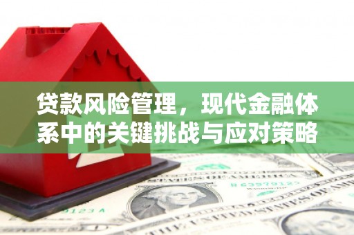 贞丰贷款风险管理，现代金融体系中的关键挑战与应对策略