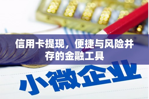 贞丰信用卡提现，便捷与风险并存的金融工具