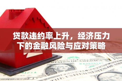 贞丰贷款违约率上升，经济压力下的金融风险与应对策略