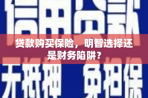 贞丰贷款购买保险，明智选择还是财务陷阱？