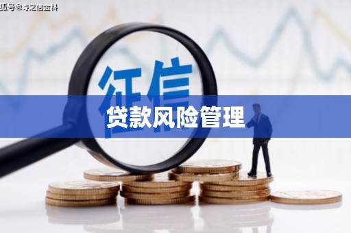贞丰贷款风险管理