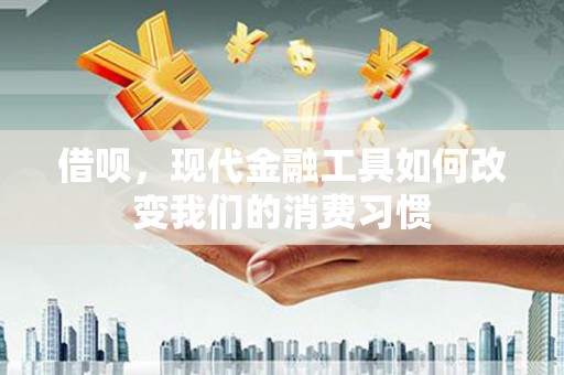 贞丰借呗，现代金融工具如何改变我们的消费习惯
