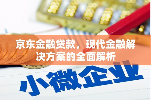 贞丰京东金融贷款，现代金融解决方案的全面解析