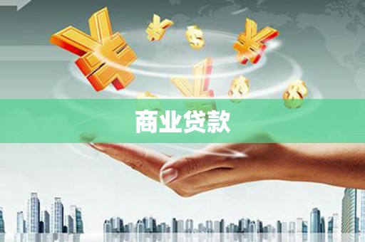 贞丰商业贷款