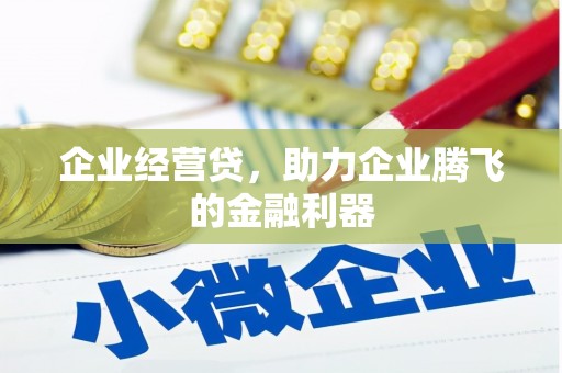 贞丰企业经营贷，助力企业腾飞的金融利器
