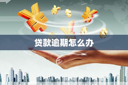 贞丰贷款逾期怎么办