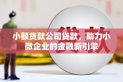 贞丰小额贷款公司贷款，助力小微企业的金融新引擎