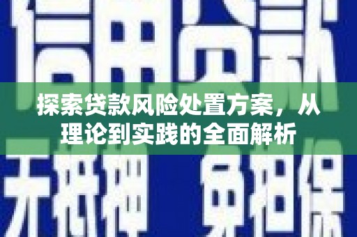 贞丰探索贷款风险处置方案，从理论到实践的全面解析