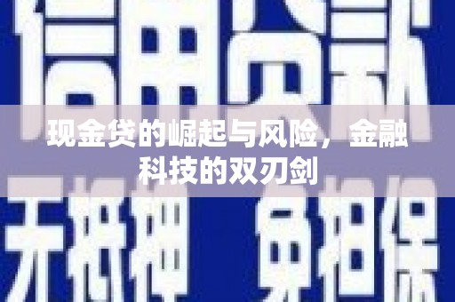 贞丰现金贷的崛起与风险，金融科技的双刃剑