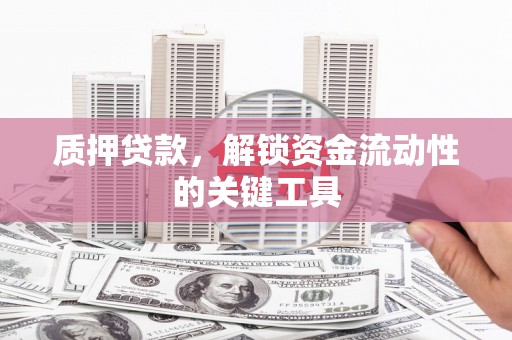 贞丰质押贷款，解锁资金流动性的关键工具