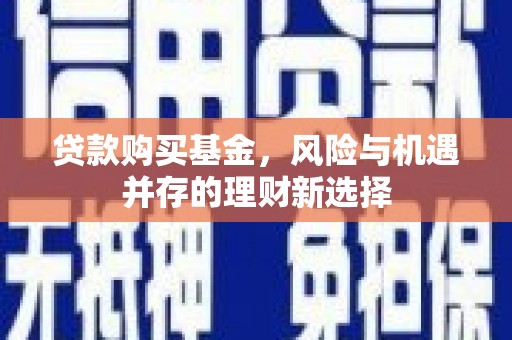 贞丰贷款购买基金，风险与机遇并存的理财新选择