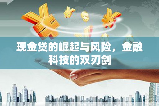 贞丰现金贷的崛起与风险，金融科技的双刃剑