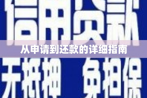 贞丰从申请到还款的详细指南