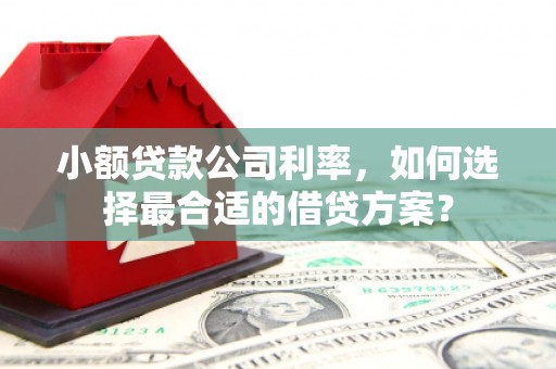 贞丰小额贷款公司利率，如何选择最合适的借贷方案？